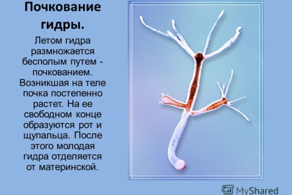 На сайте кракен пропал пользователь