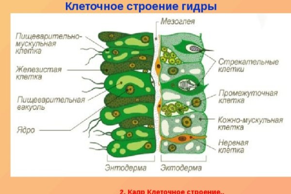 Кракен даркнет сайт